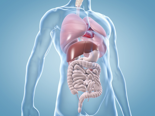 Viszeralchirurgie