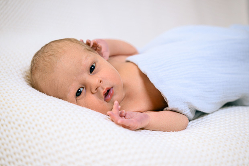 Babygalerie