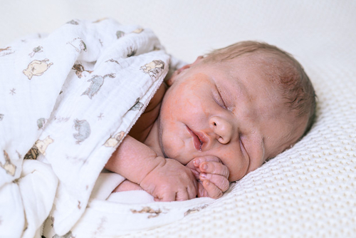 Babygalerie