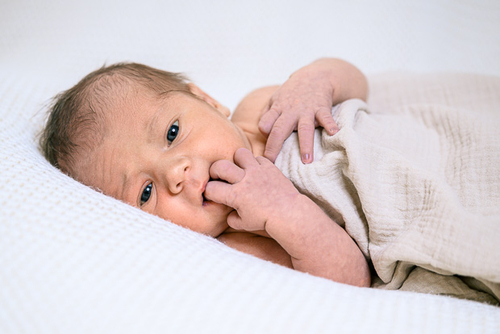 Babygalerie