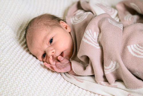 Babygalerie