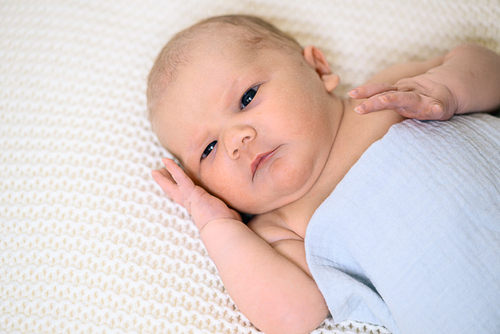 Babygalerie